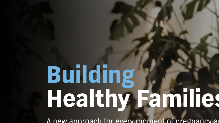 Building-Healthy-Families-website